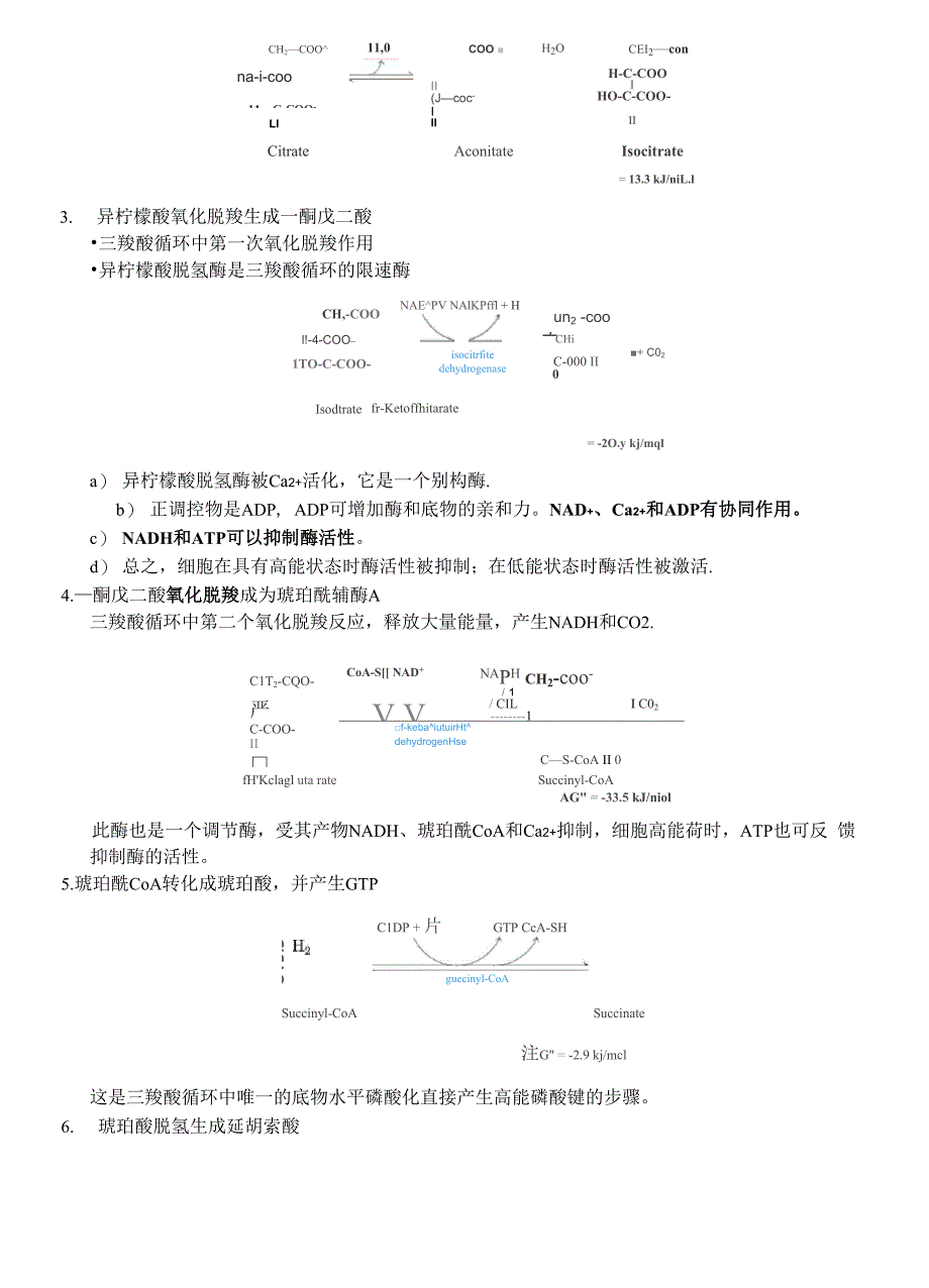 三羧酸循环_第2页