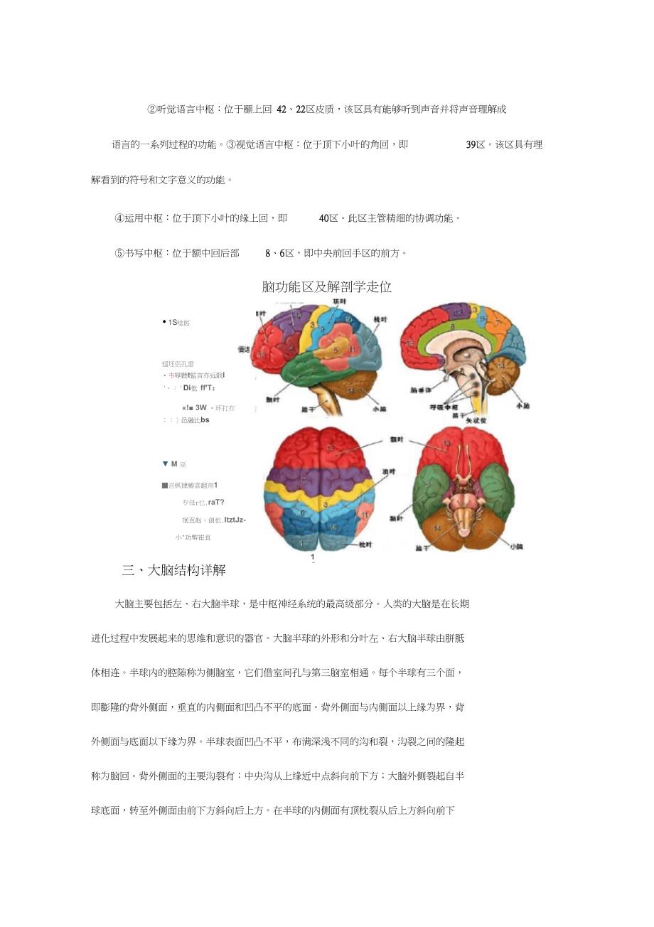 (完整版)大脑结构与功能分区_第3页