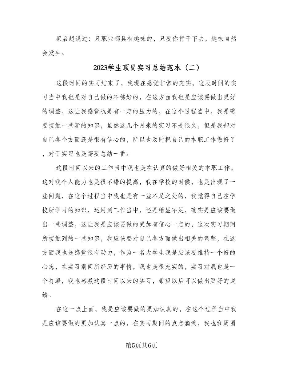 2023学生顶岗实习总结范本（2篇）.doc_第5页