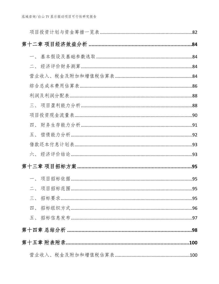 白山TV显示驱动项目可行性研究报告_第5页