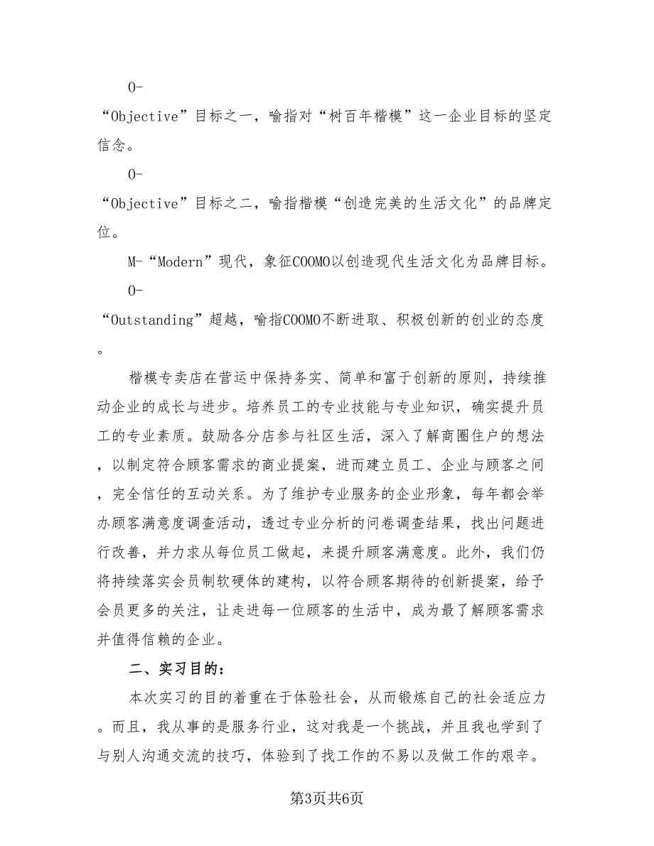 2023年优秀销售员实习总结报告（2篇）.doc_第3页