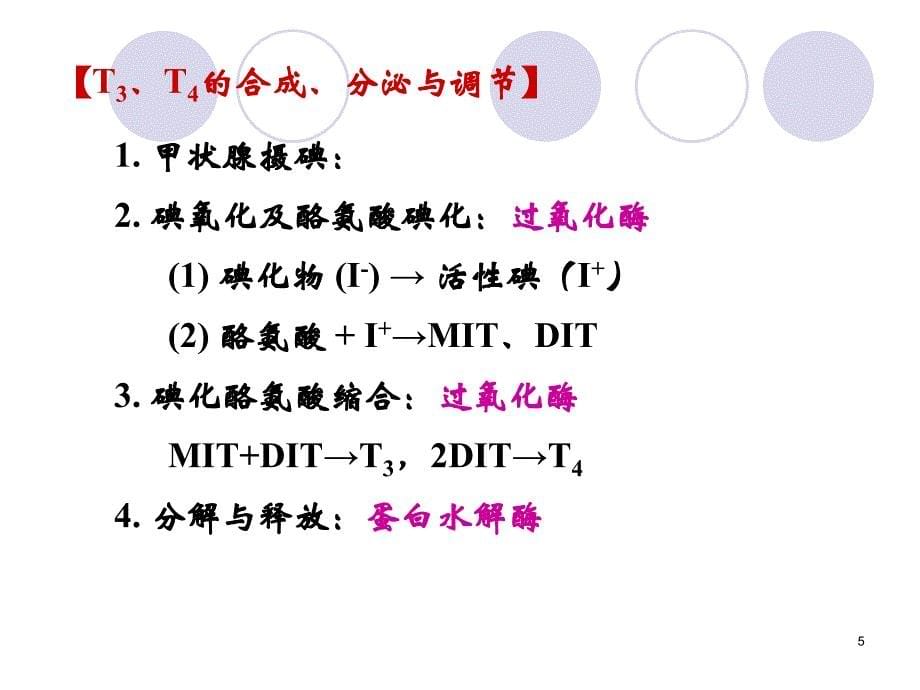 最新：第36章甲状腺激素及抗甲状腺药11口腔文档资料_第5页