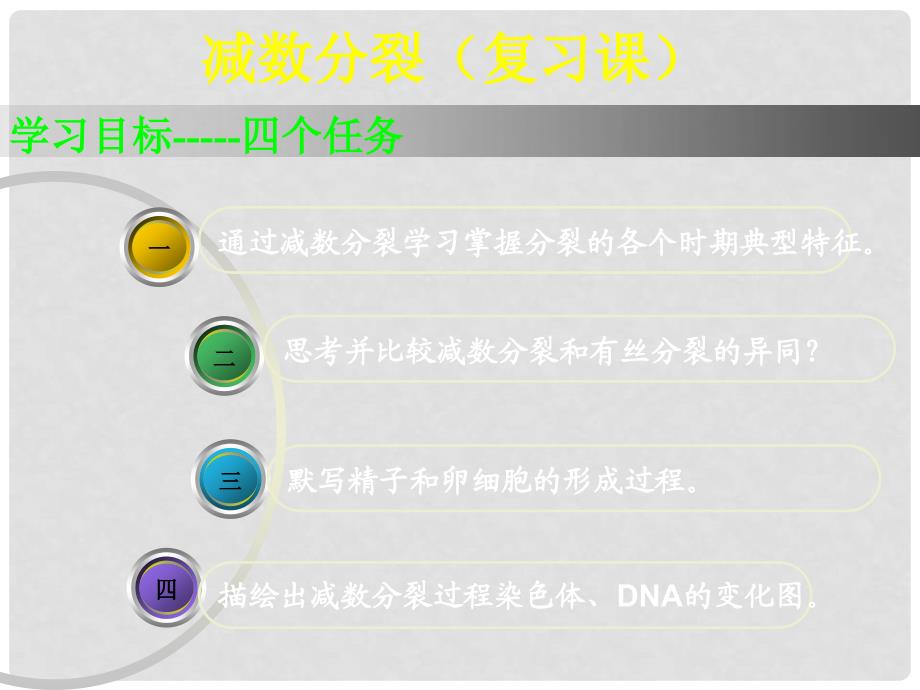 甘肃省白银市会宁县第四中学高中生物 减数分裂课件 新人教版必修2_第1页