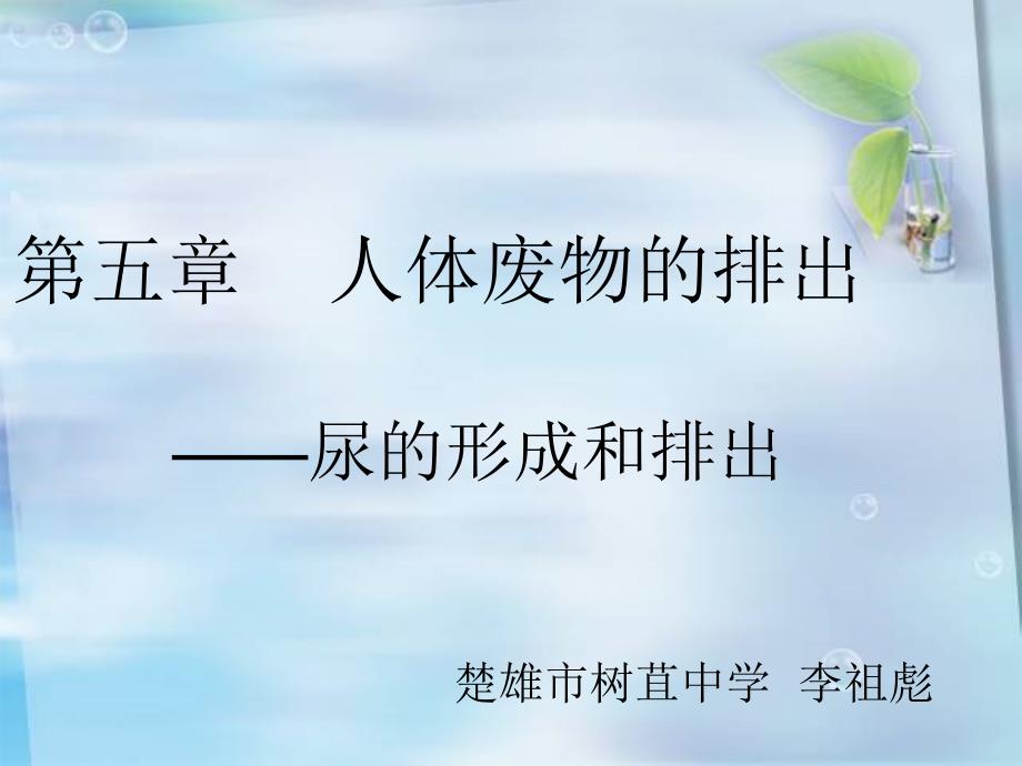 《尿的形成和排出》PPT课件.ppt_第1页