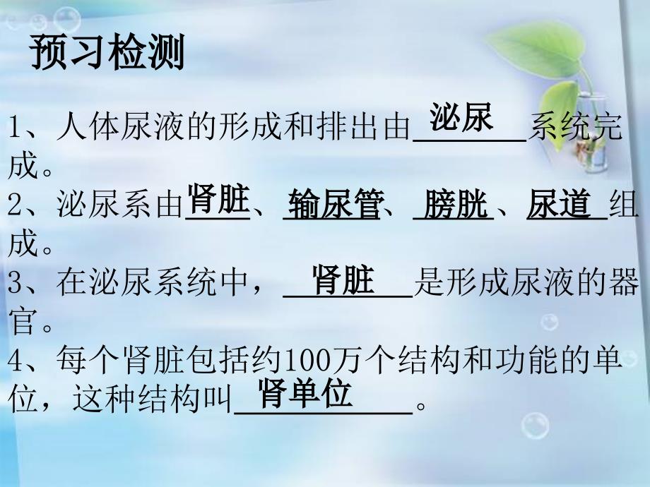 《尿的形成和排出》PPT课件.ppt_第3页