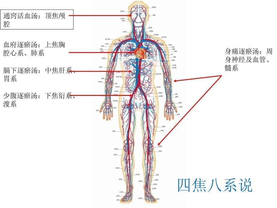 血府逐瘀汤PPT课件_第5页