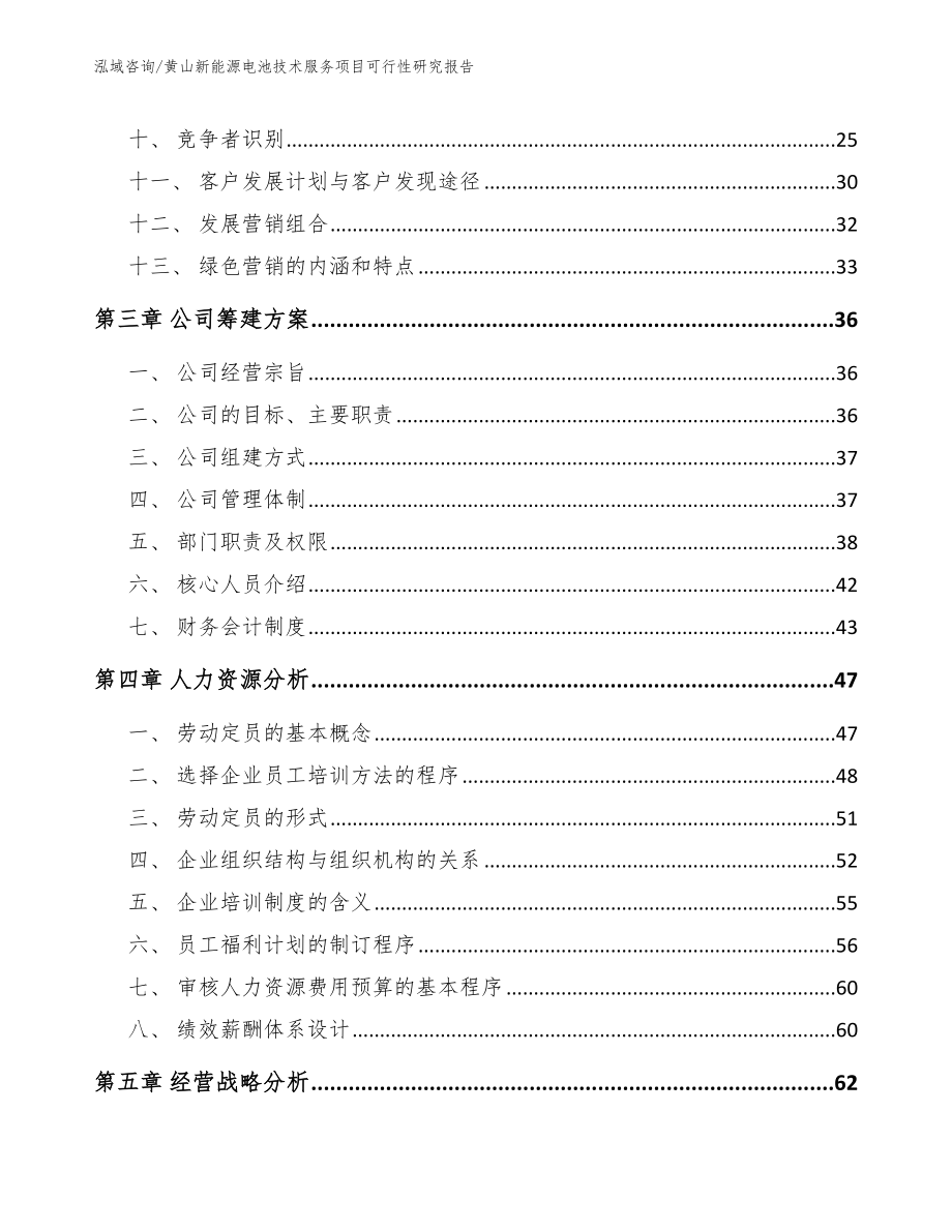 黄山新能源电池技术服务项目可行性研究报告（模板范文）_第3页