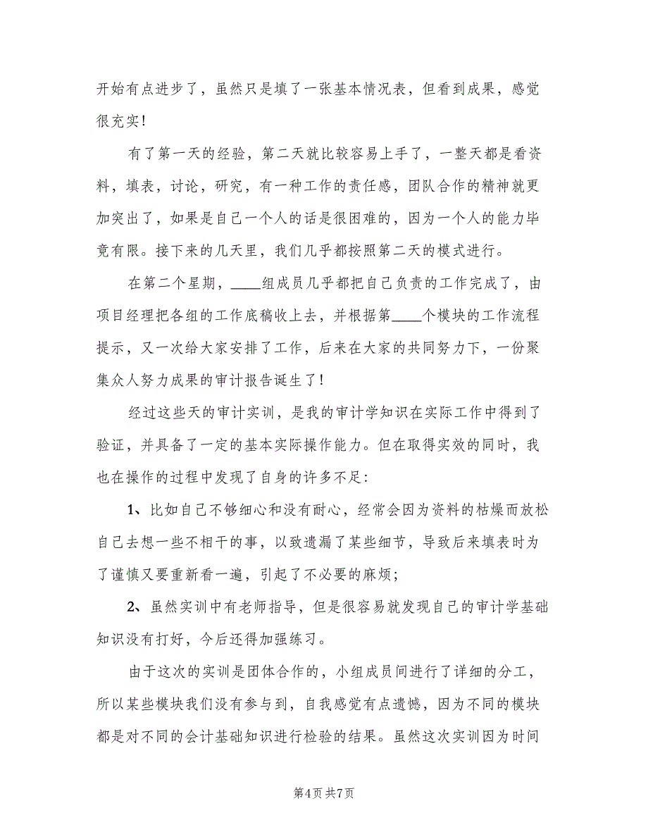 2023大学生审计实习总结范文（2篇）.doc_第4页