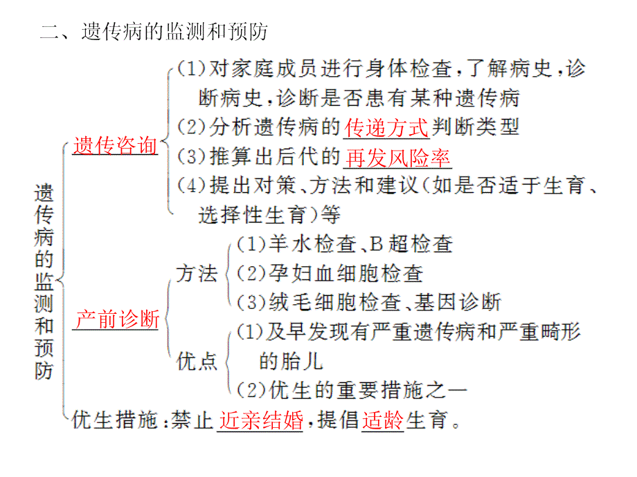 人类的遗传病---一轮复习_第4页