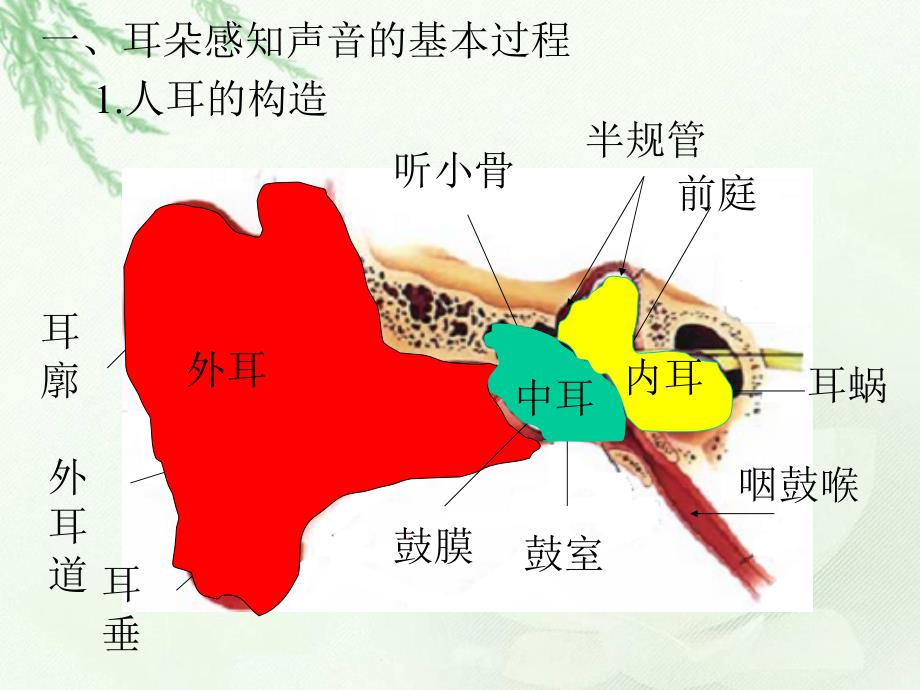 (教科版)四年级科学上册课件_我们是怎样听到声音的_第4页