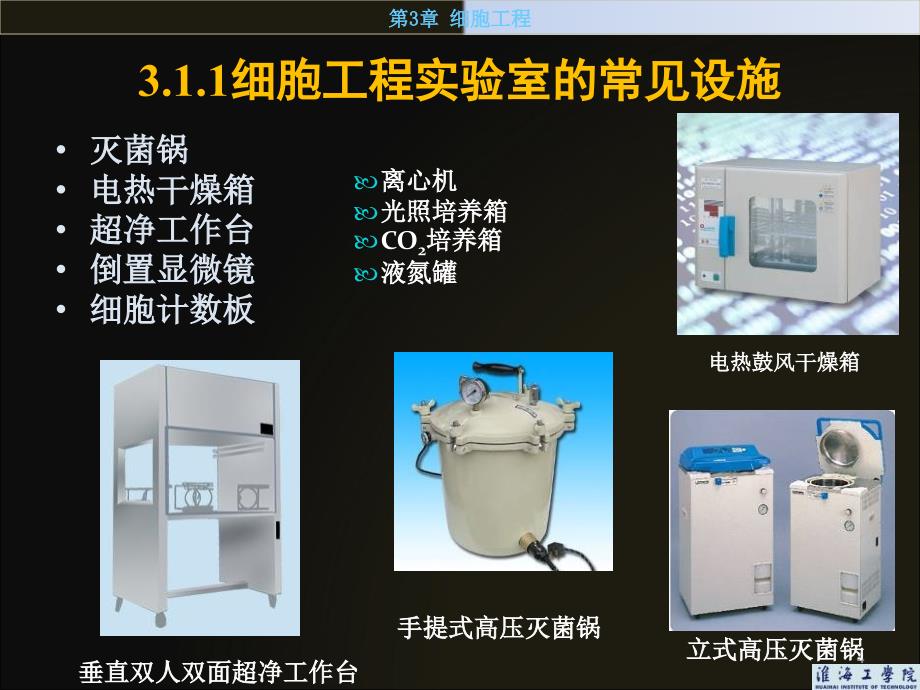 第3章细胞工程10_第4页