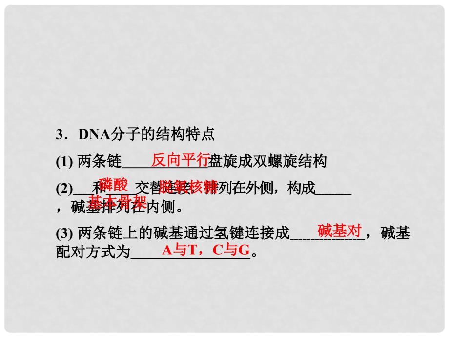 高考生物第一轮总复习 3.33DNA双螺旋结构模型的构建课件 浙科版必修2_第3页