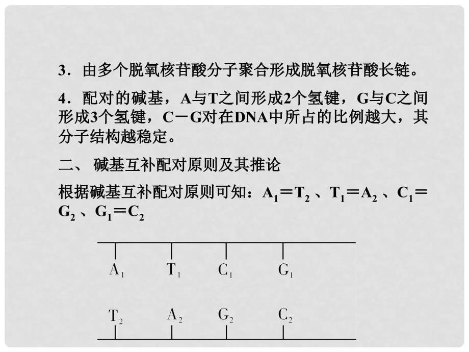 高考生物第一轮总复习 3.33DNA双螺旋结构模型的构建课件 浙科版必修2_第5页