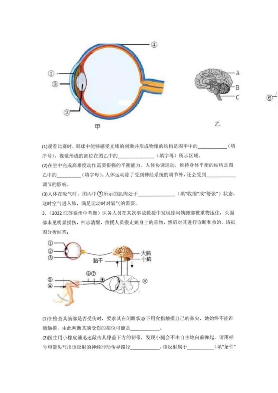 2022年中考生物真题分类汇编专题07 人体生命活动的调节（学生版+解析版）_第5页