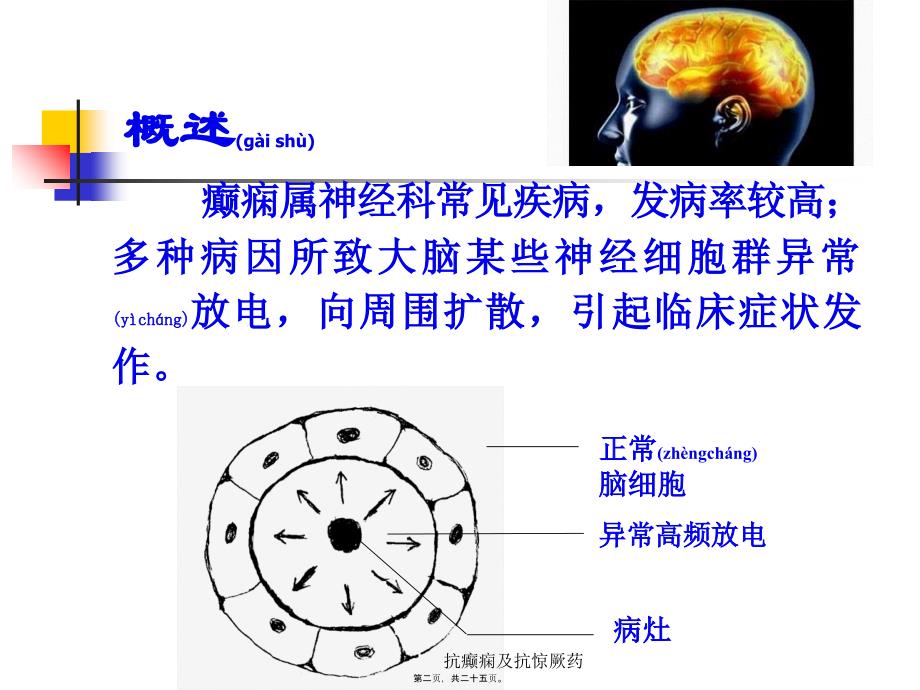 抗癫痫及抗惊厥药课件_第2页