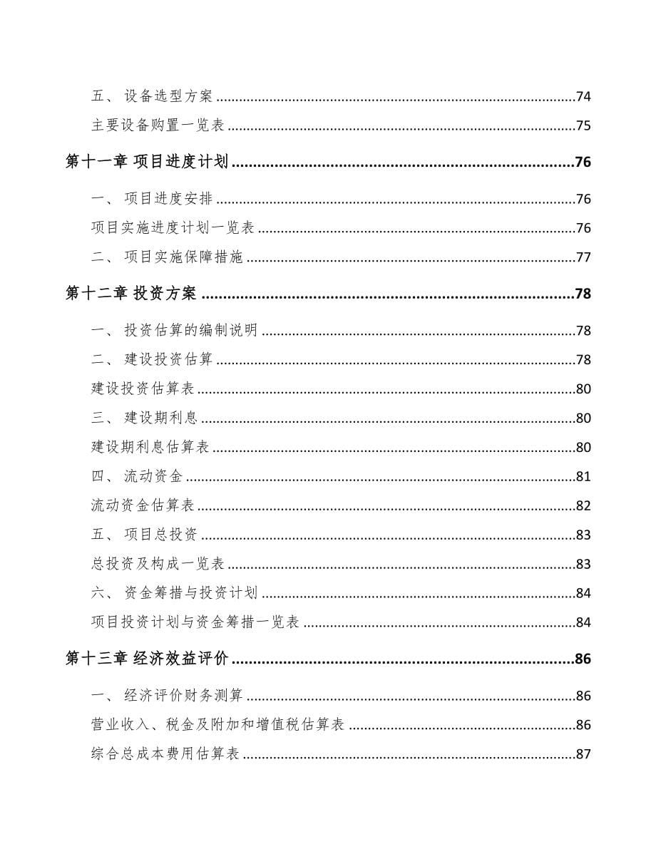 江门起动电机项目可行性研究报告(DOC 79页)_第5页