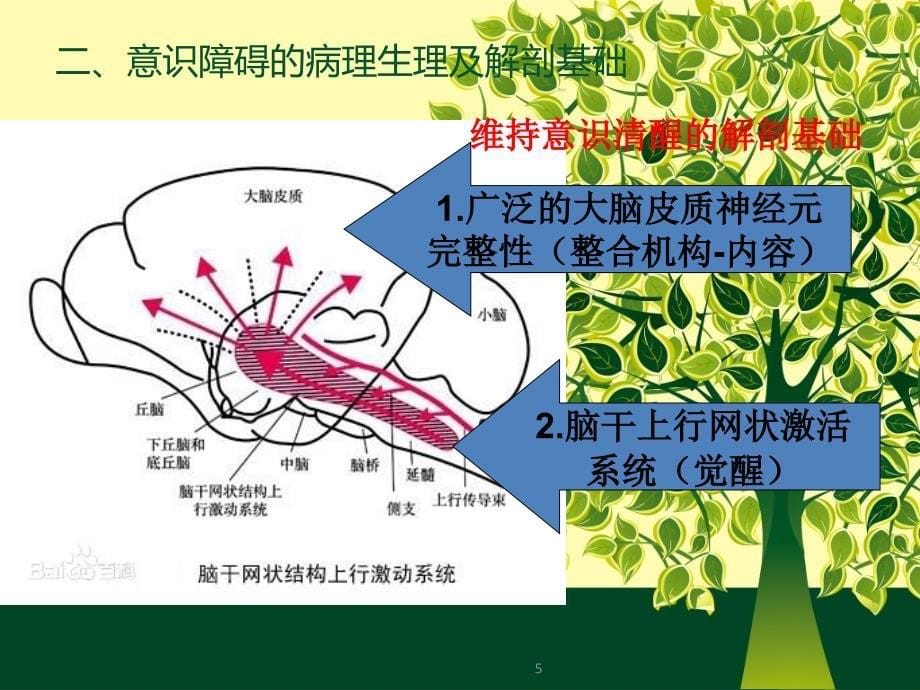 意识障碍的诊断鉴别诊断及处理PPT课件_第5页