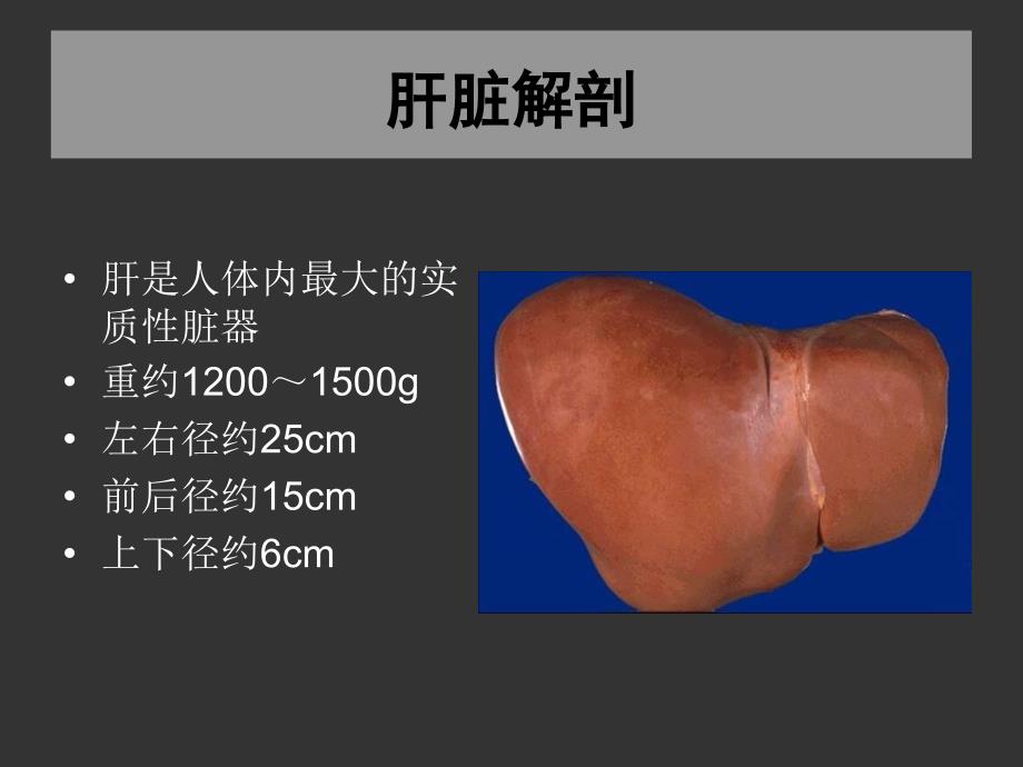 上海交大外科学肝脏疾病_第2页