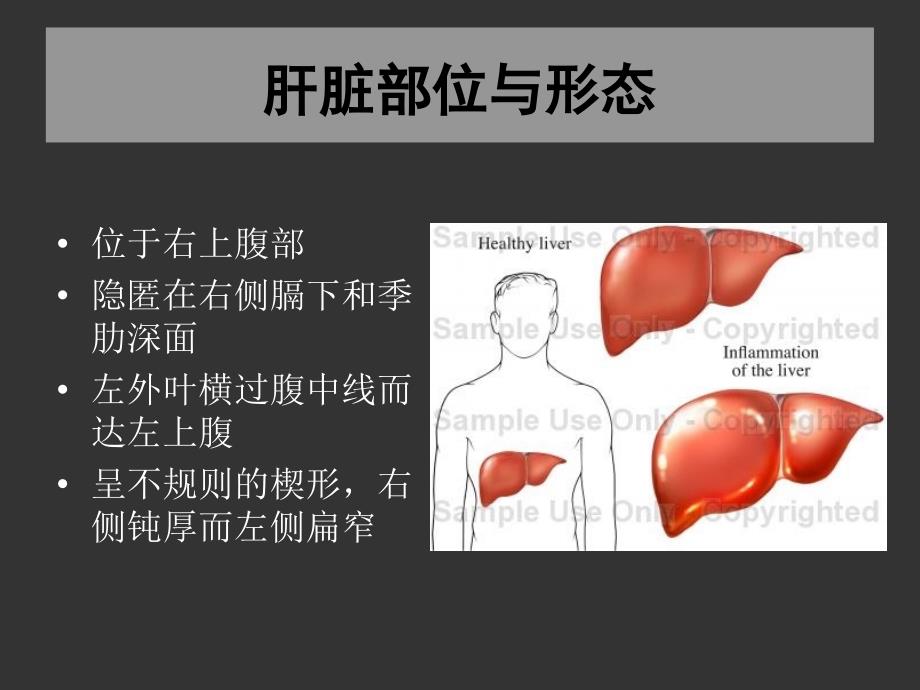 上海交大外科学肝脏疾病_第3页