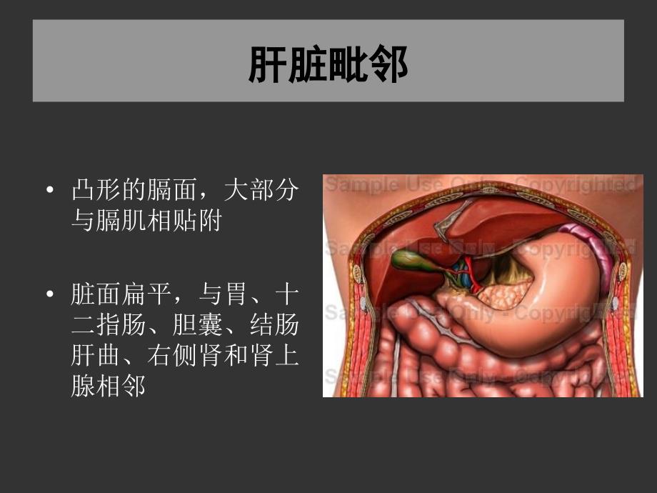 上海交大外科学肝脏疾病_第4页