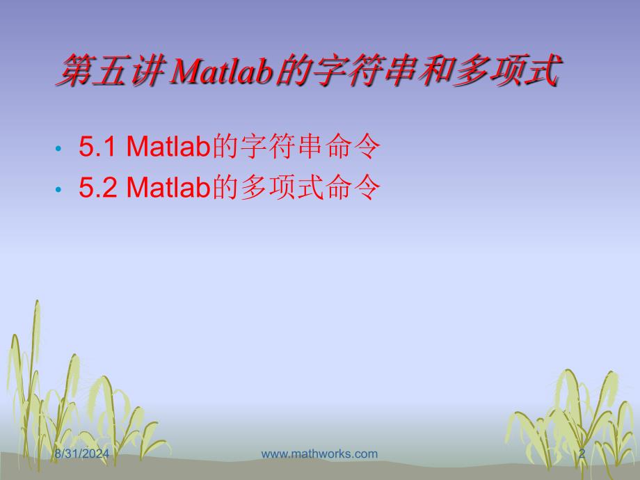 五讲Matlab的字符串和多项式ppt课件_第2页