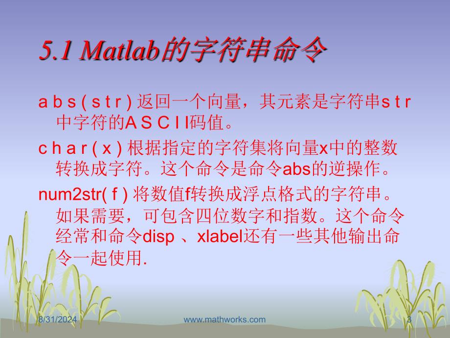 五讲Matlab的字符串和多项式ppt课件_第3页