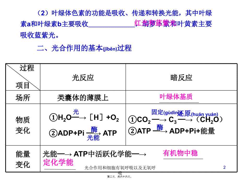 光合作用和细胞有氧呼吸以及无氧呼吸课件_第2页