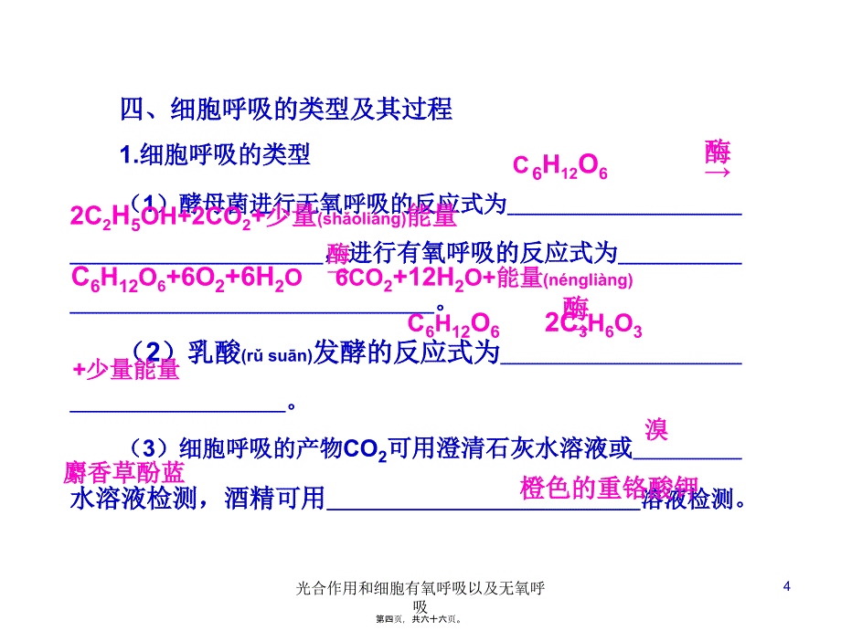 光合作用和细胞有氧呼吸以及无氧呼吸课件_第4页