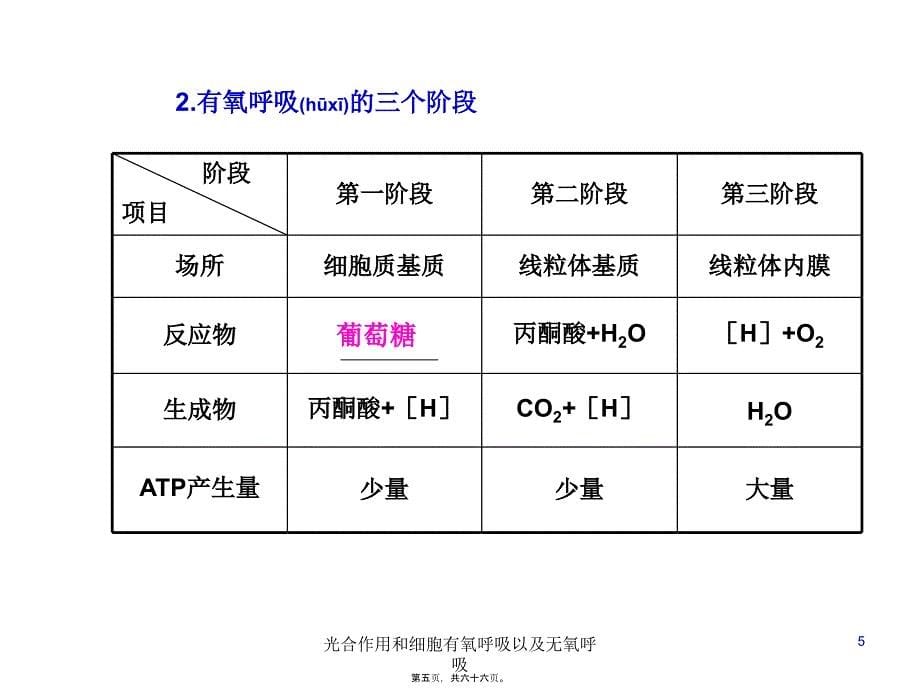 光合作用和细胞有氧呼吸以及无氧呼吸课件_第5页