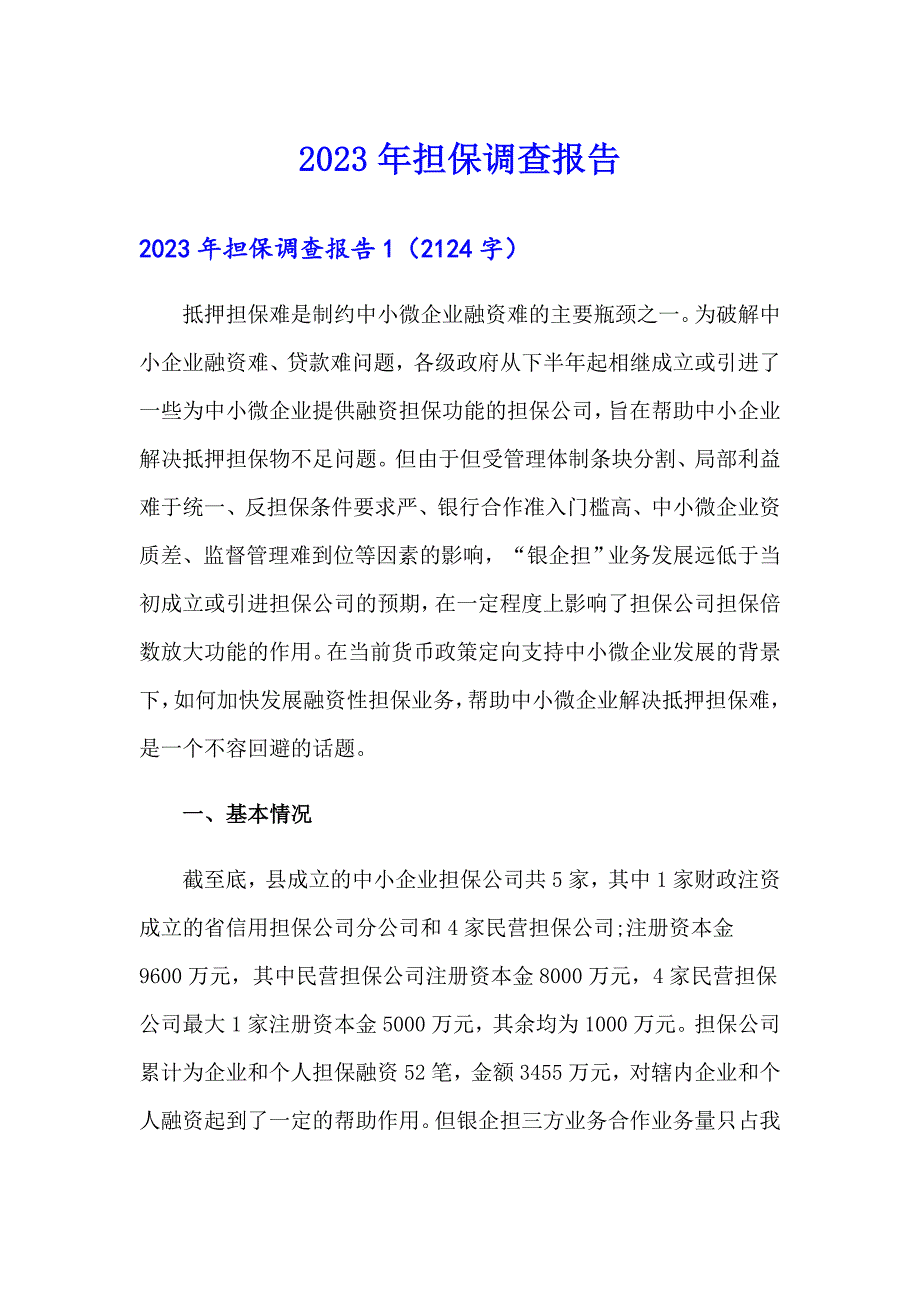 2023年担保调查报告_第1页