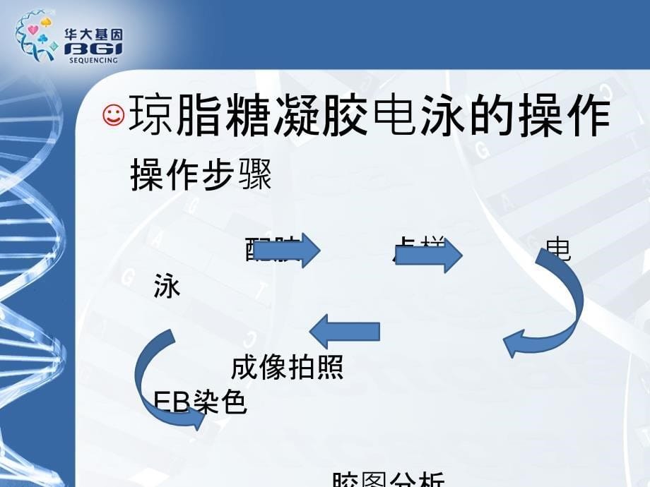 琼脂糖凝胶电泳注意事项_第5页