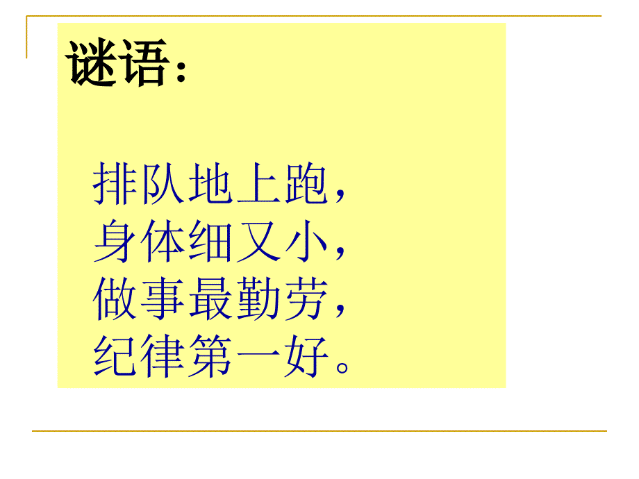 三年级科学上册蚂蚁课件_第3页