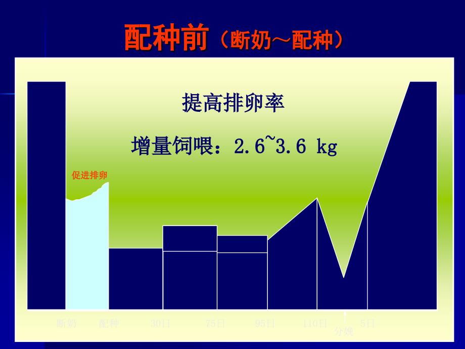 母猪的饲养管理PPT课件_第4页