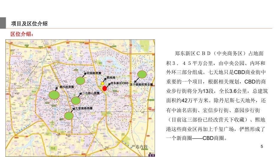 丹尼斯七天地市调报告【优质参考】_第5页