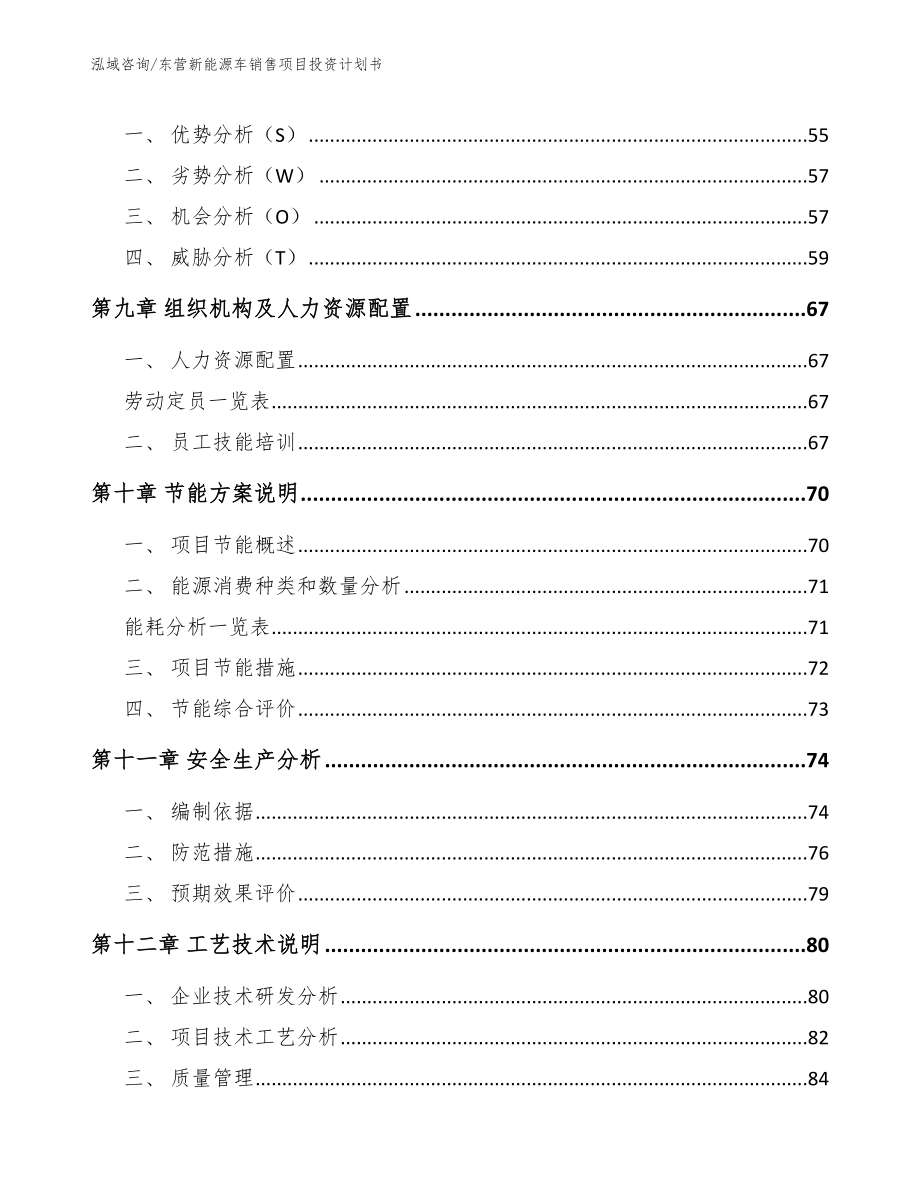 东营新能源车销售项目投资计划书_模板_第3页