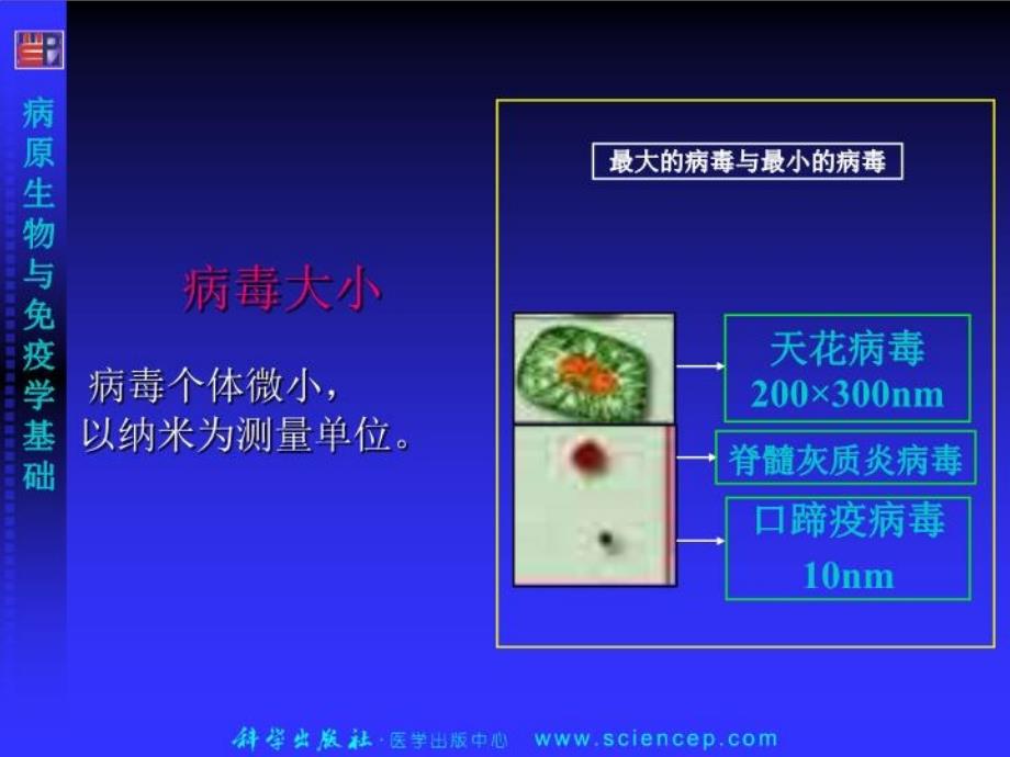 病原生物与免疫学-病毒概述-课件_第3页