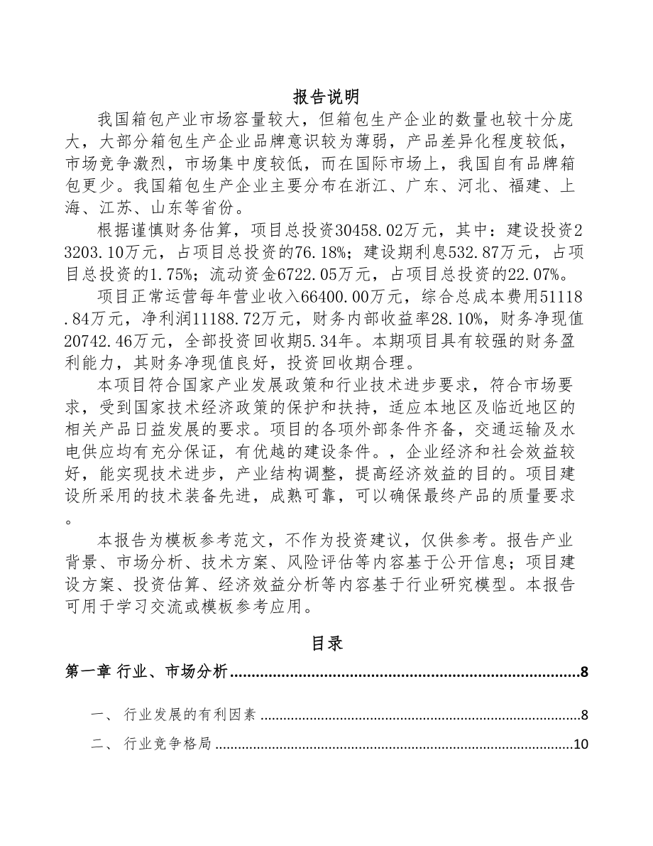 嘉峪关市箱包项目可行性研究报告(DOC 80页)_第1页