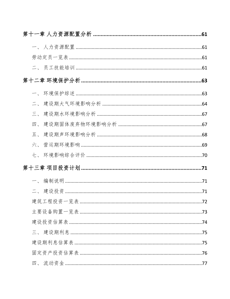 嘉峪关市箱包项目可行性研究报告(DOC 80页)_第4页