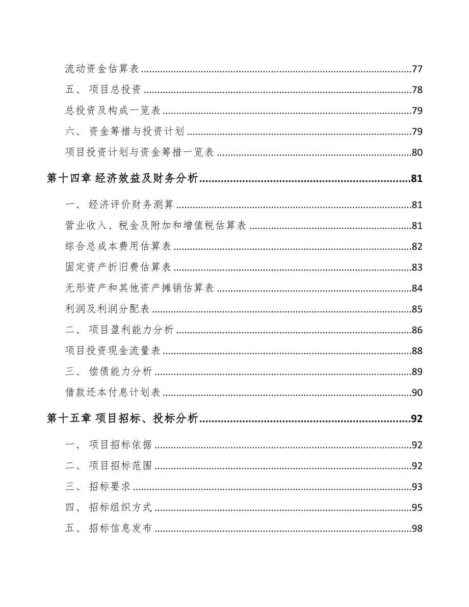 嘉峪关市箱包项目可行性研究报告(DOC 80页)_第5页