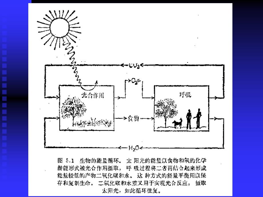 生物物理学导论08_第3页