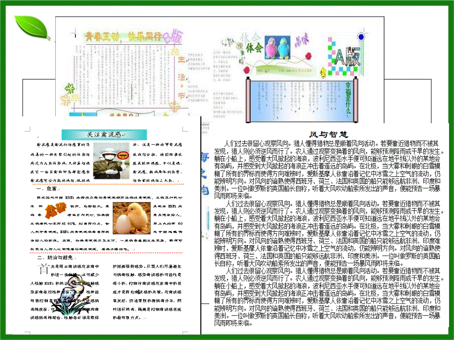 公开课图文混排ppt课件_第2页