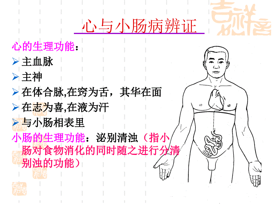 中医基础课程脏腑辨证_第3页