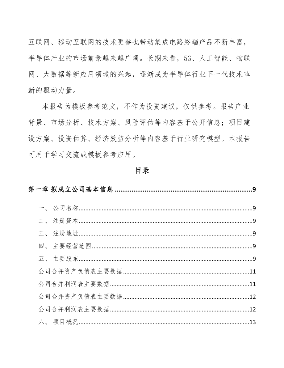 内蒙古关于成立单晶硅材料公司可行性研究报告_第3页