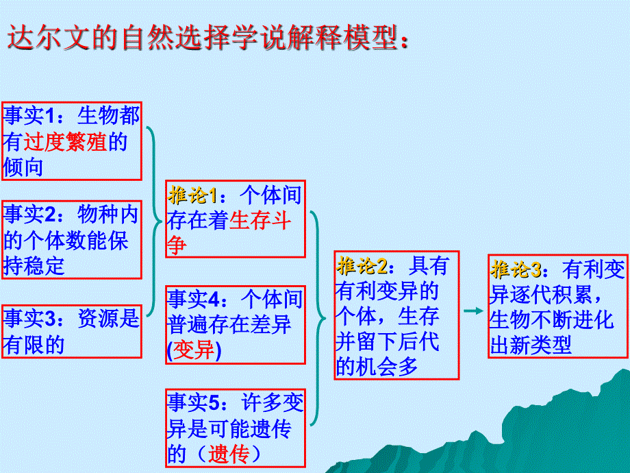 现代生物进化理论的由来(上课用)_第3页