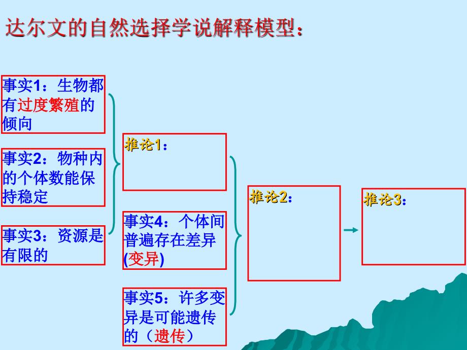 现代生物进化理论的由来(上课用)_第4页