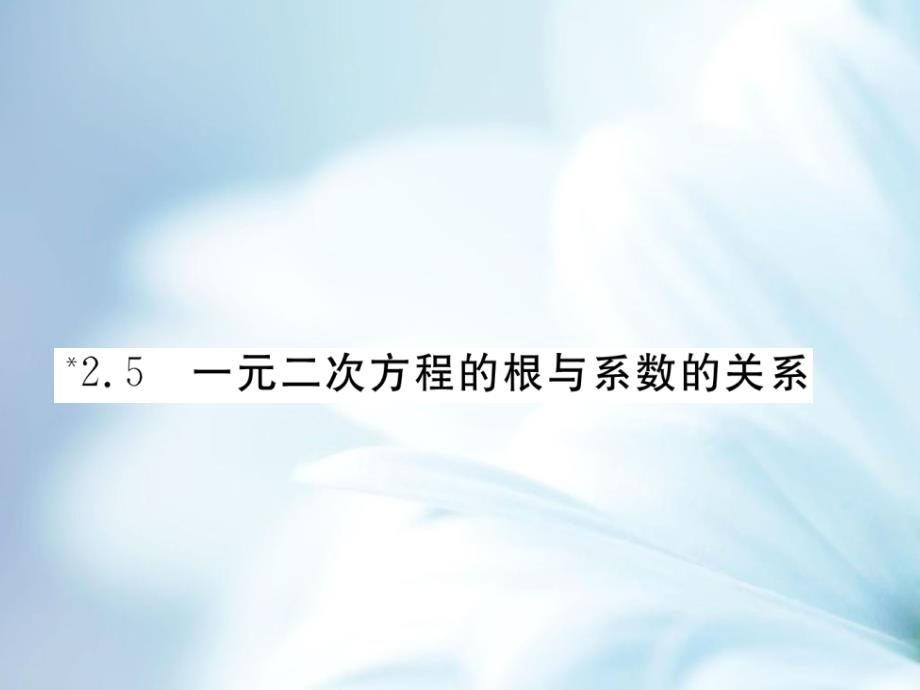 【北师大版】九年级上册数学：2.5一元二次方程的根与系数的关系课件_第2页