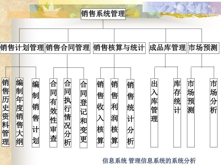 信息系统管理信息系统的系统分析课件_第5页