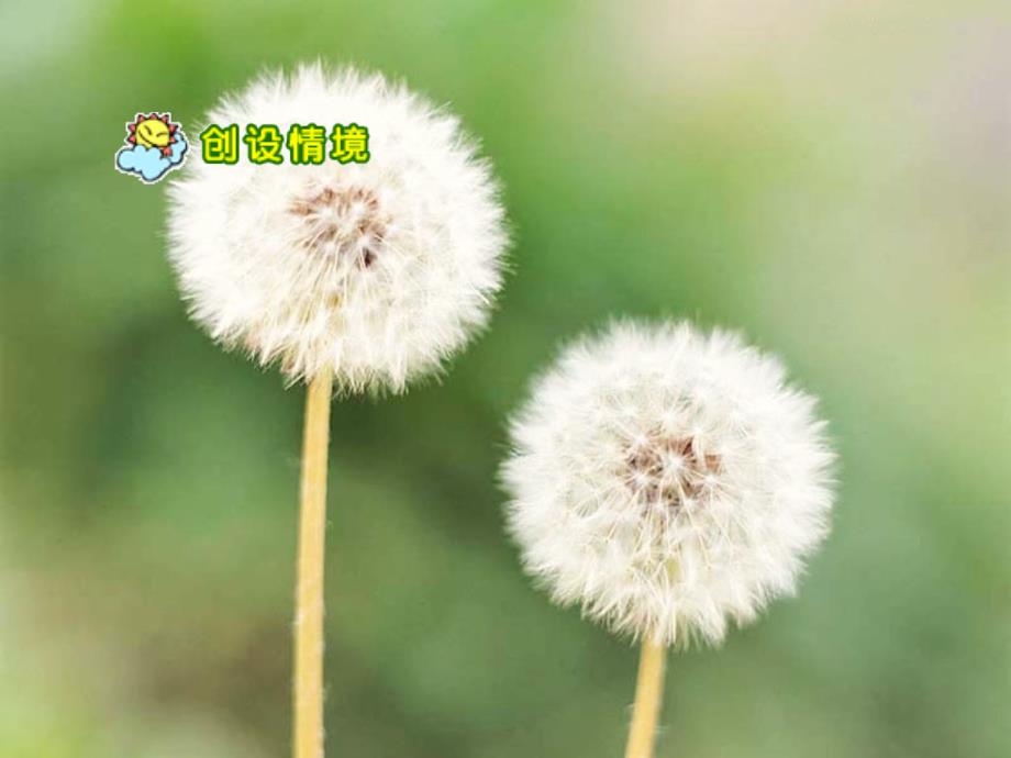 植物妈妈有办法课件_第4页