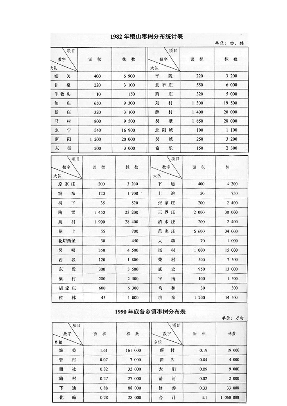 土特产品板枣的知识.doc_第3页