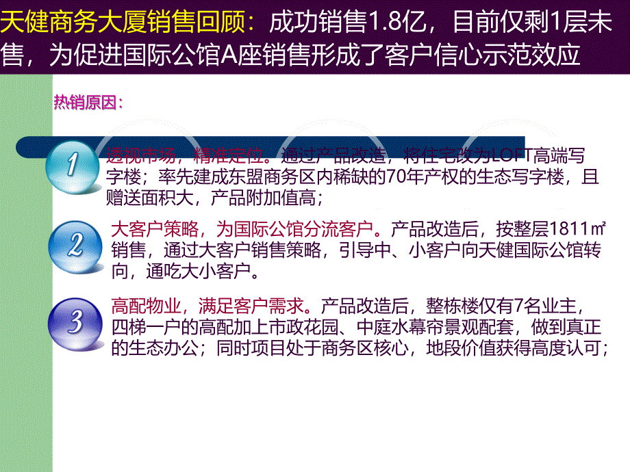 天健国际公馆产权式酒店营销报告_第4页